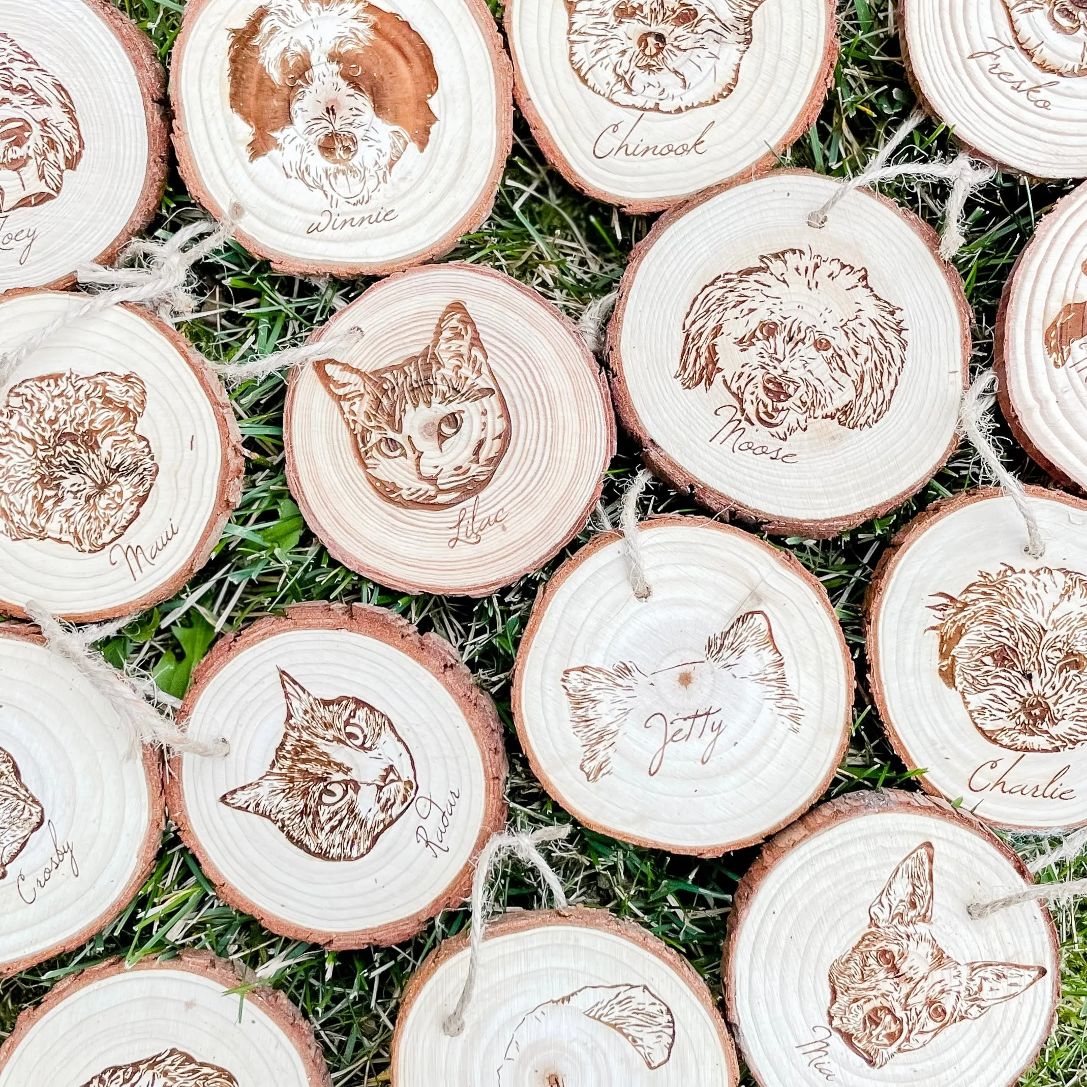 Custom Pet Ornament
