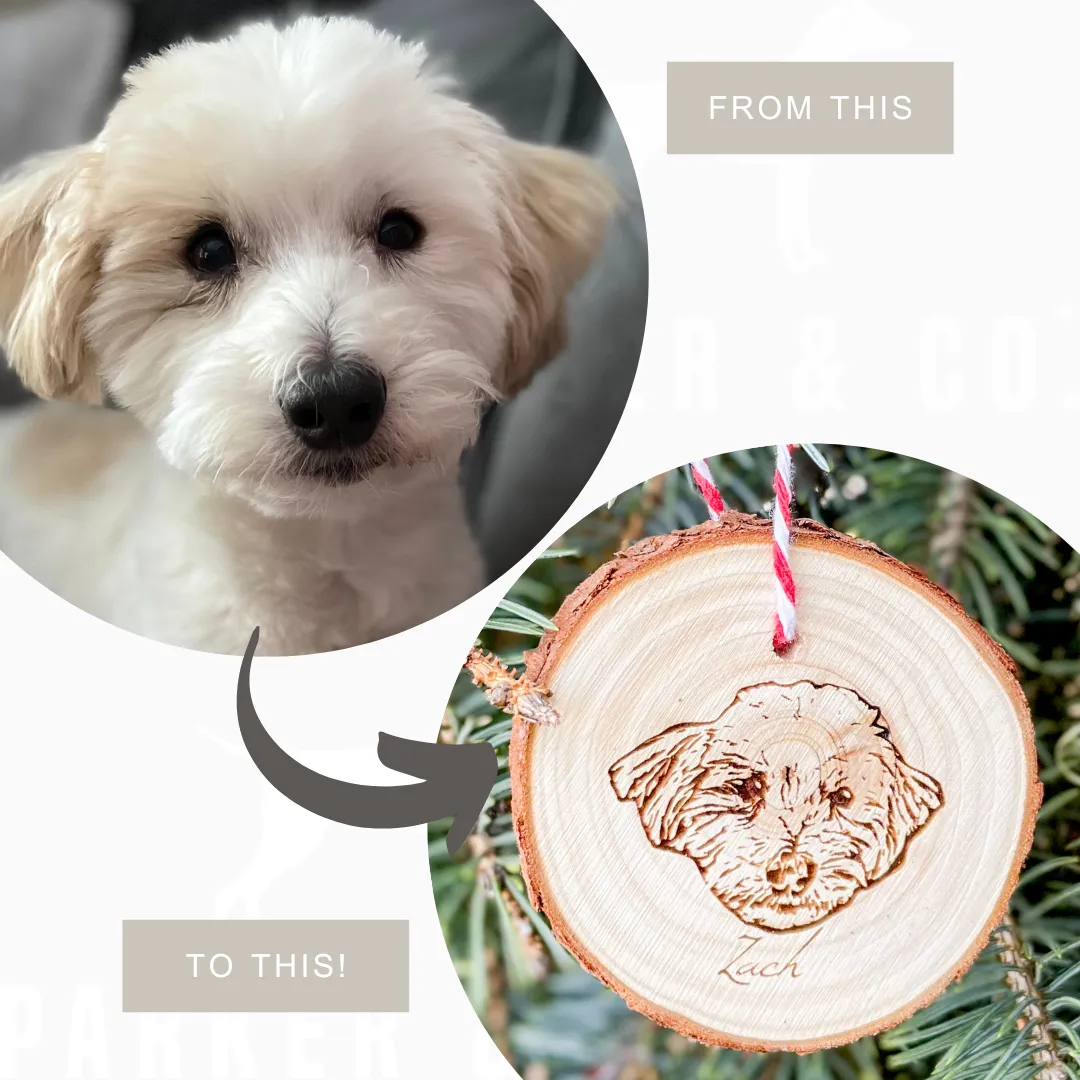 Custom Pet Ornament