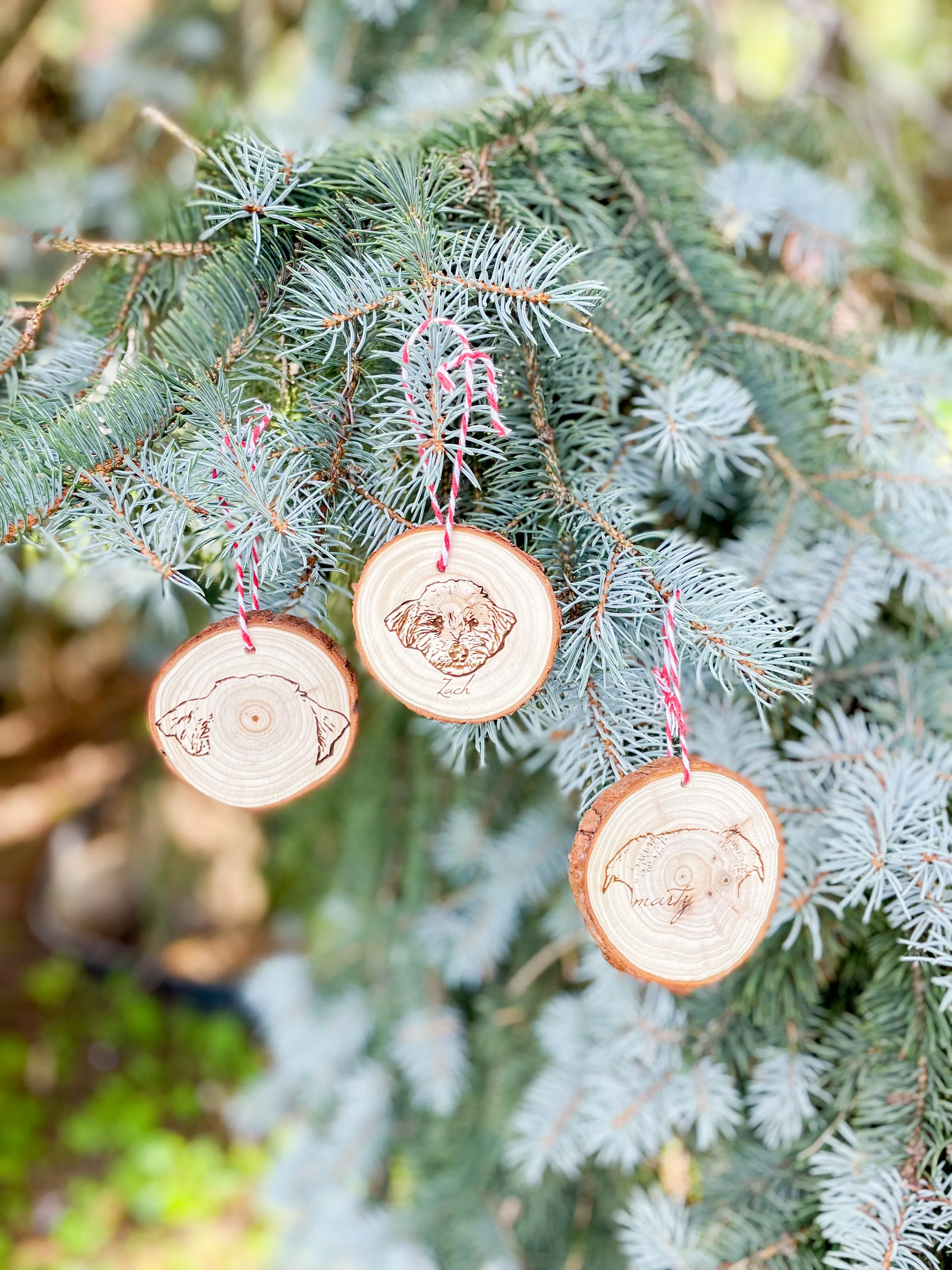 Custom Pet Ornament