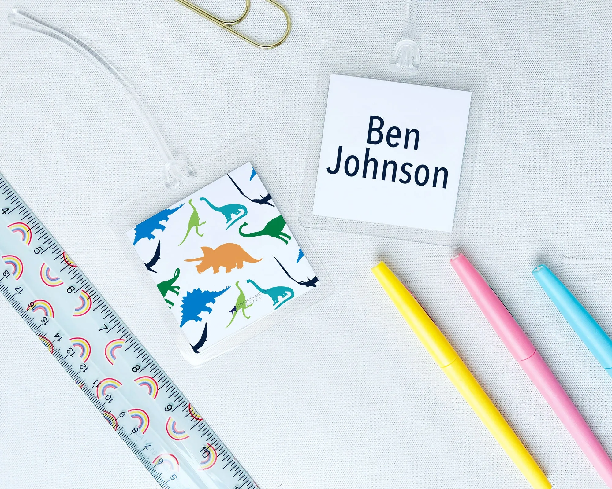 Dinosaur Personalized Laminated Bag Tag