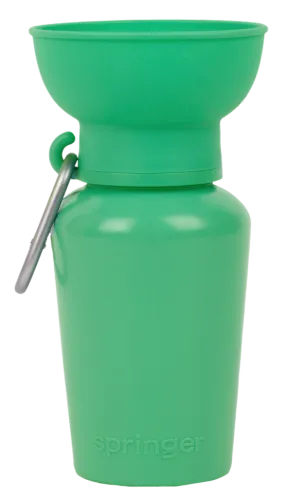 Flip Dog Travel Bottle 20oz - Springer Green