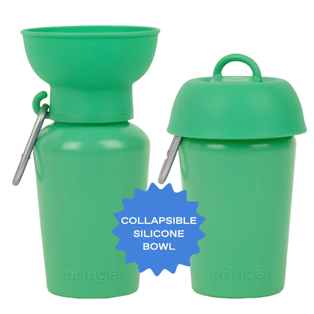Flip Dog Travel Bottle 20oz - Springer Green